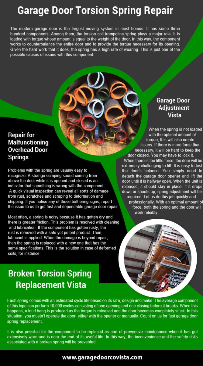 Garage Door Repair Vista Infographic